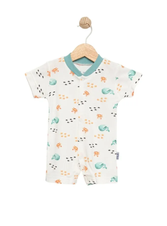 Φορμάκι Βυθός Πετρόλ